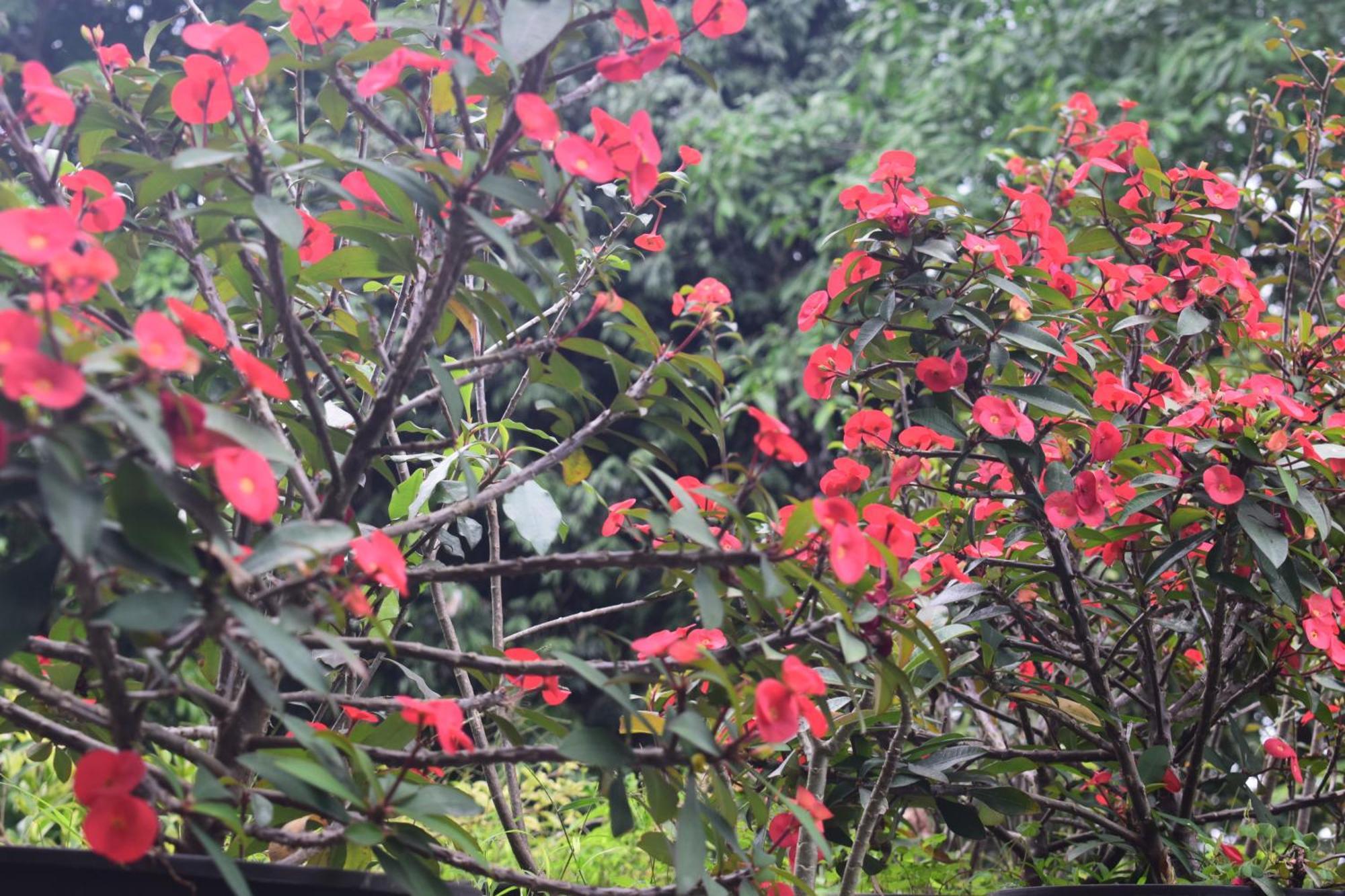 Namaya Nature Kandy Extérieur photo